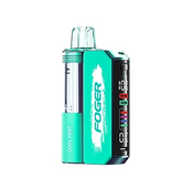Foger Switch Pro 30K Disposable Vape - Kit ( Power Bank + Pod )